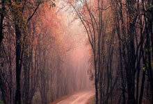 英超-热苏斯双响赖斯传射 阿森纳5-1大胜水晶宫央视网.