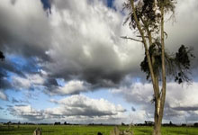 中国香港代表团赴杭州出战亚残运会中国新闻网.