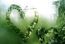 中国香港代表团赴杭州出战亚残运会中国新闻网.