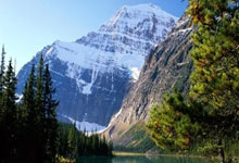 一年194个世界冠军 中国健儿的2024国际在线.