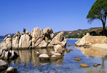 斯瓦泰克被百大球员爆冷,陷入冠军荒的名将远不止她一人!.